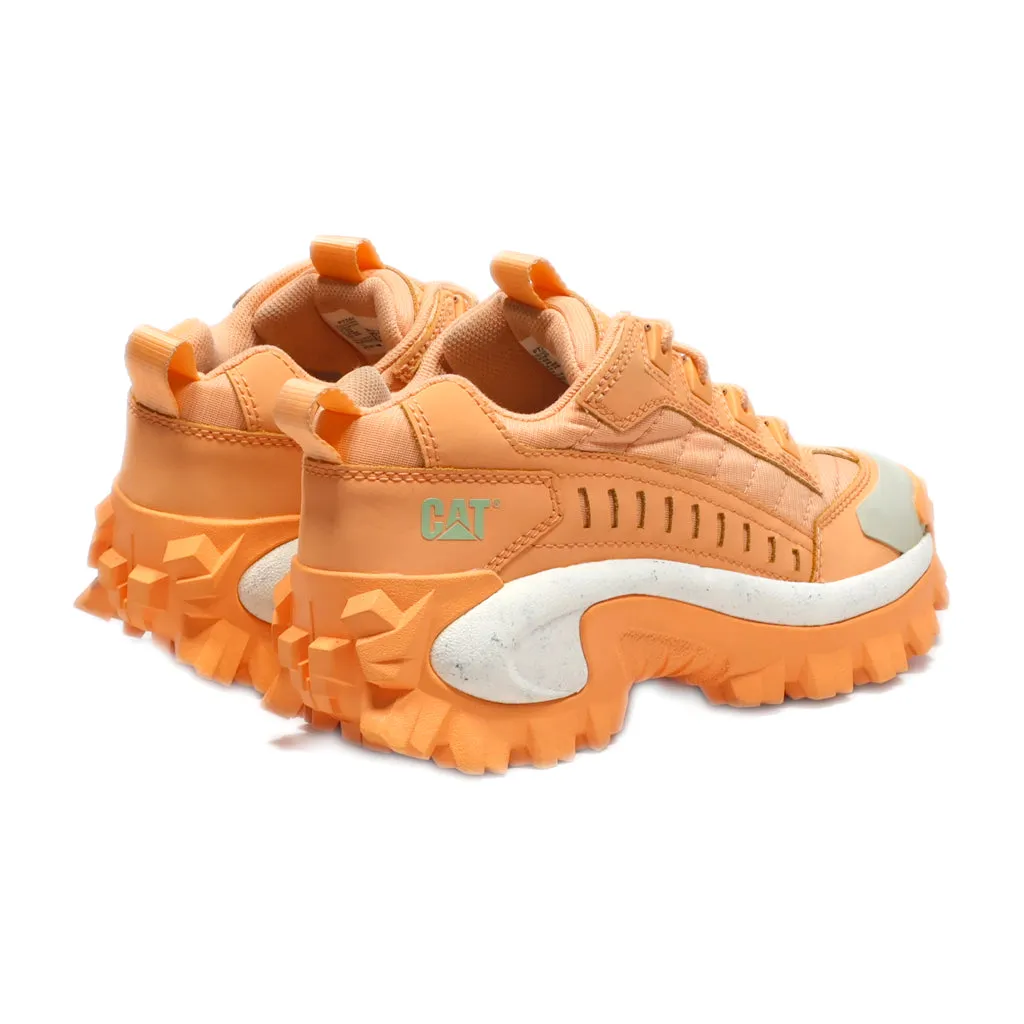 Caterpillar Sport Shoes Leather Orange Colour For Women